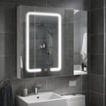 #00532 LED Mirror Cabinet