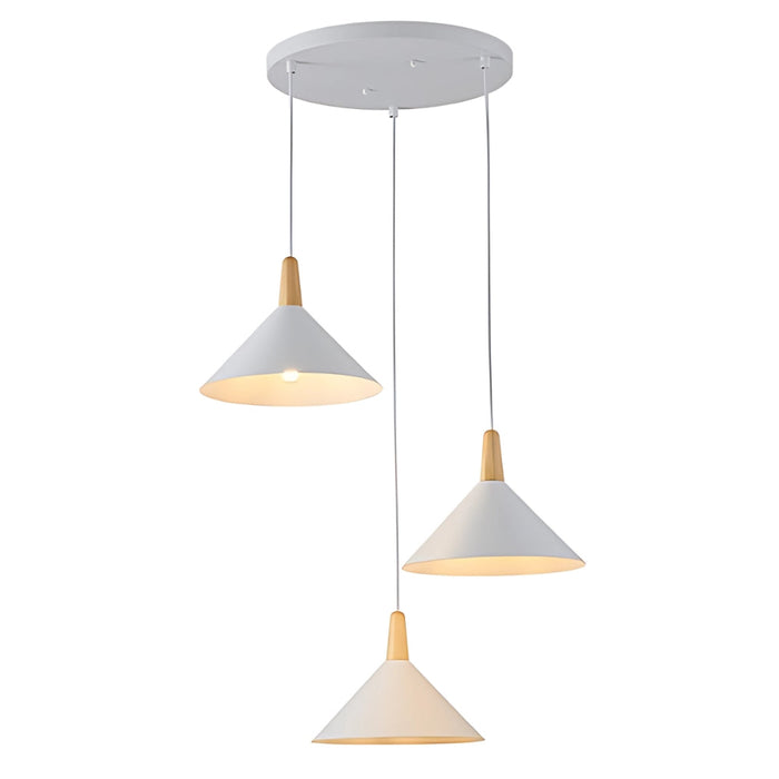 20160 3 Light Pendant Light in White