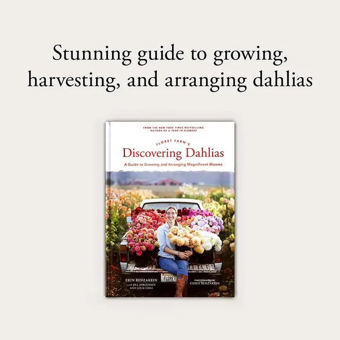 Discovering Dahlias: Book