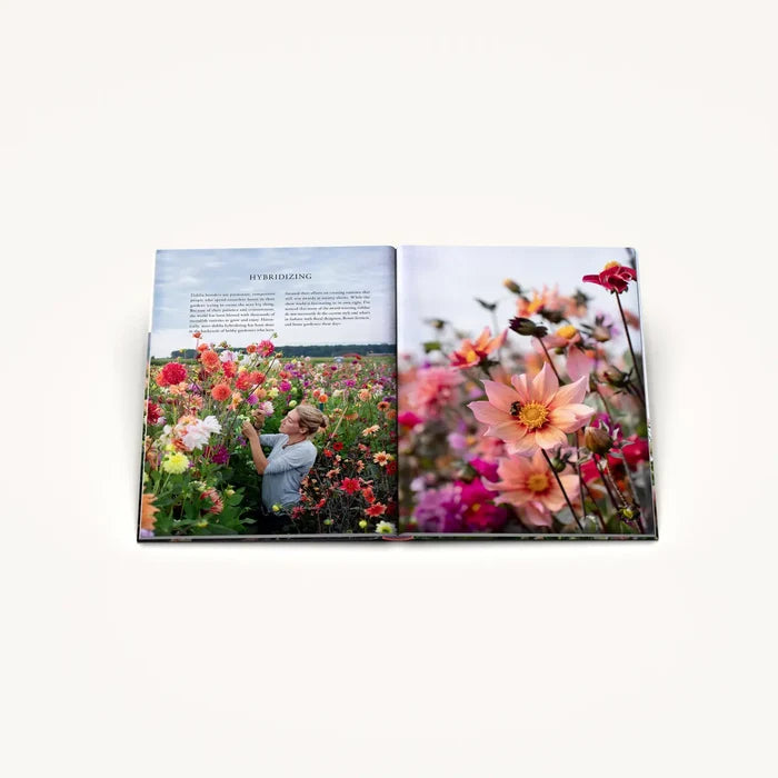 Discovering Dahlias: Book