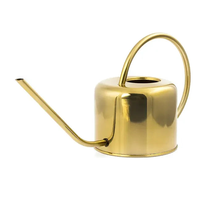 Gold Watering Can
